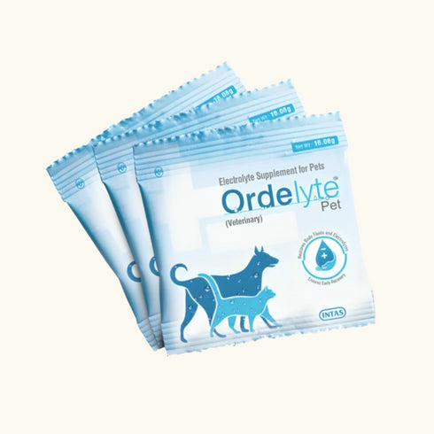Intas Ordelyte Pet Powder