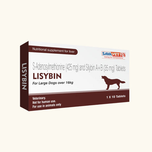 Savavet Lisybin Tablet