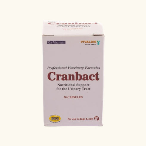 Vivaldis Cranbact Capsules for Dogs and Cats