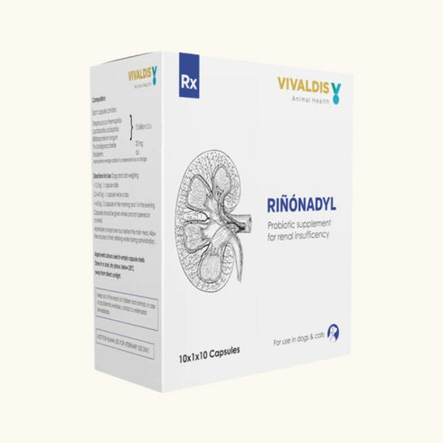 Vivaldis Rinonadyl Tablet