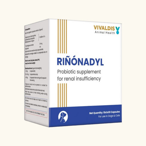 Vivaldis Rinonadyl Tablet