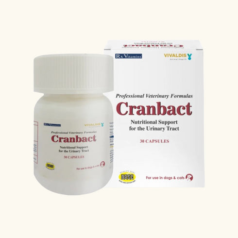 Vivaldis Cranbact Capsules for Dogs and Cats