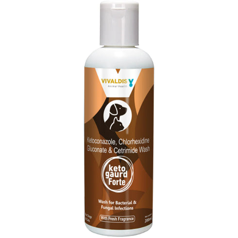 Vivaldis Viv Keto Forte Shampoo