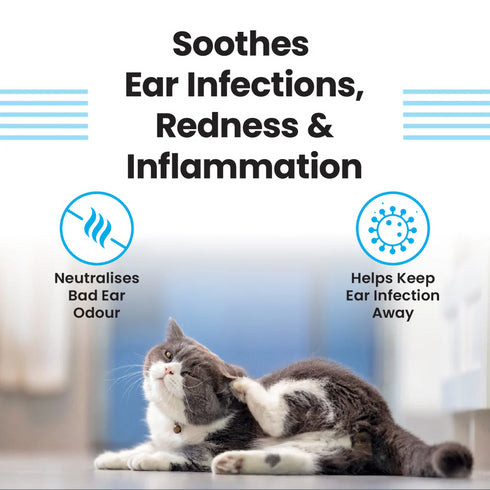 Vivadis Clearify Ear Cleaner (Tris EDTA) For Dogs and Ctas