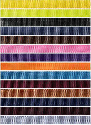 Classic Leash Pet Walk