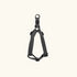 Pet walk Classic step Harness XL
