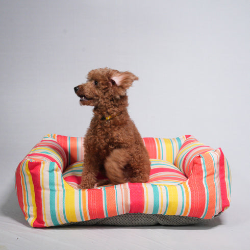 Unleash Knitted Bed for dogs