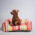 Unleash Knitted Bed for dogs
