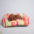 Unleash Knitted Bed for dogs