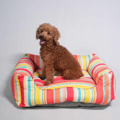 Unleash Knitted Bed for dogs
