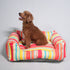 Unleash Knitted Bed for dogs