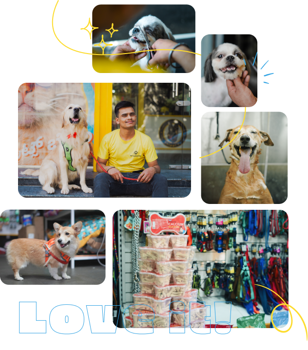 Grooming_collage Grooming_collage