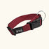 Classic Collar Small