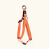 Pet walk Classic step Harness- XL