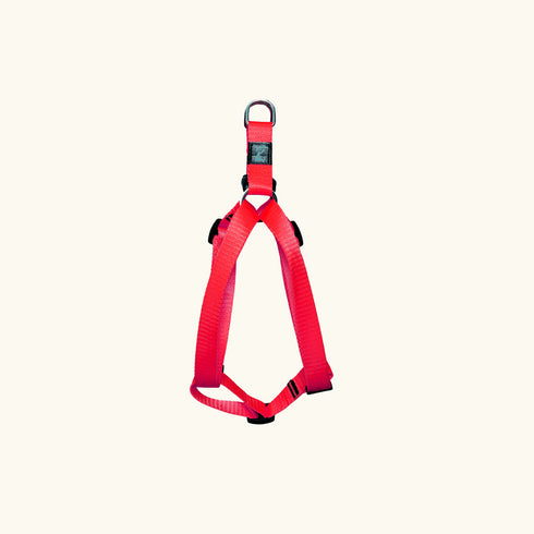 Pet walk Classic step Harness- XL