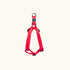Pet walk Classic step Harness- XL