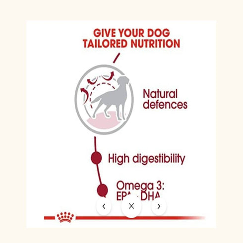 Royal Canin Medium Adult Dog Dry Food