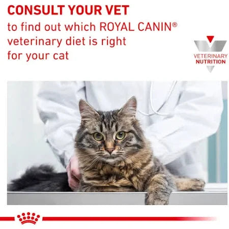 Royal Canin Veterinary Renal with Fish Cat Wet Food 85GM
