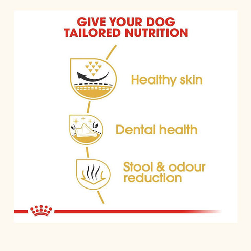 Royal Canin Shih Tzu Adult Dog Dry Food