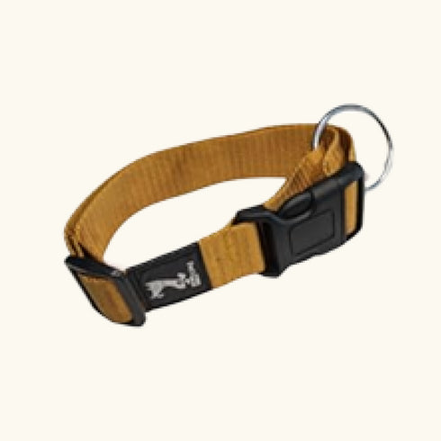 Classic Collar Small