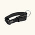 Classic Collar Small