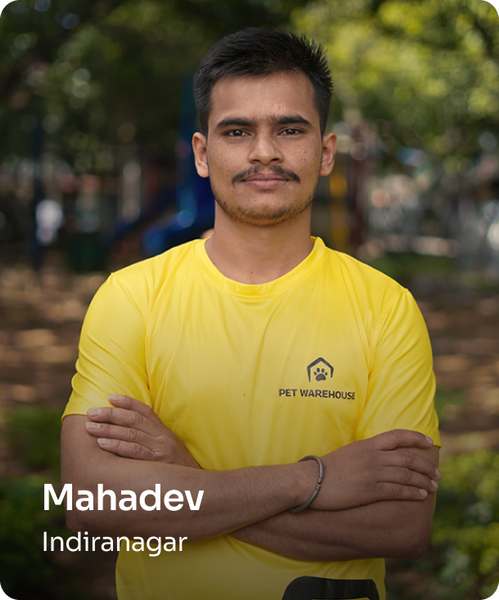 mahadev mahadev