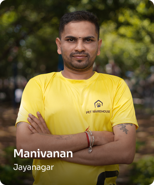 mani mani