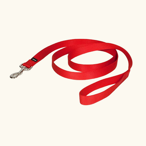 Pets Pot Nylon Collar (Medium)