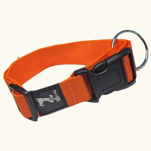 Classic Collar Small