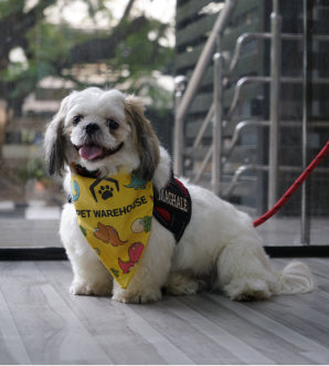 pet-for-petwarehouse pet-for-petwarehouse