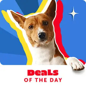 petwarehouse_webdesign-8grid-1_290x.progressive_4f7e24c3-7166-4e56-9ac4-d4a69301a3bd