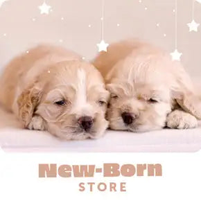 petwarehouse_webdesign-8grid-5_290x.progressive_bcf75160-17d3-4fe4-bd77-369169853920