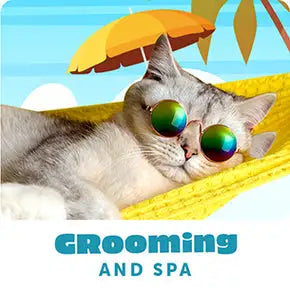 petwarehouse_webdesign-8grid-6_290x.progressive_8f2f67a5-3f42-429f-8201-733f6d640894