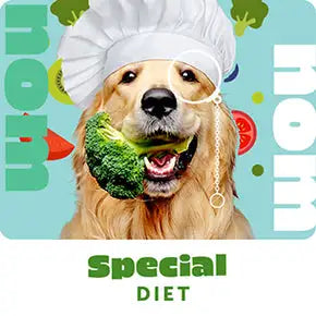 petwarehouse_webdesign-8grid-7_290x.progressive_f388cabe-d656-4eb9-a11a-578c337016a3