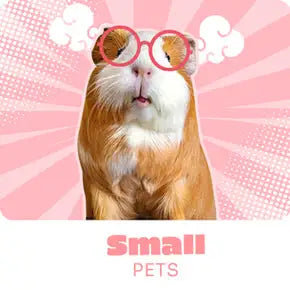 petwarehouse_webdesign-8grid-8_c7b6a584-977d-4d3b-aab7-7921fc25afde_290x.progressive_1