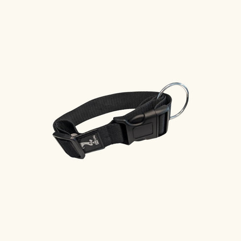Classic Collar Small