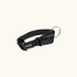 Classic Collar Small
