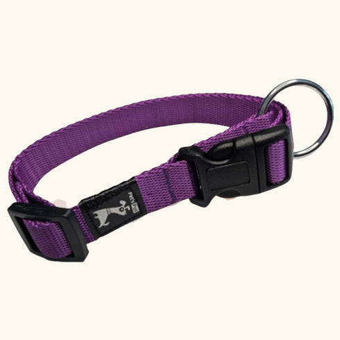 Classic Collar Small