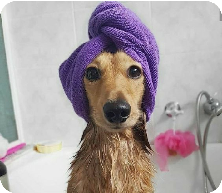 Skin Care