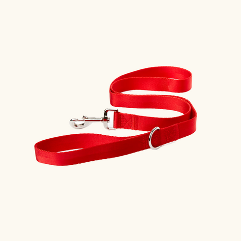 Soft Range Leash