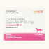 Savavet Ichmune C (Cyclosporine) Tablet