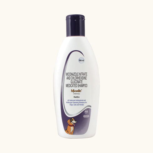 Intas Micodin Shampoo
