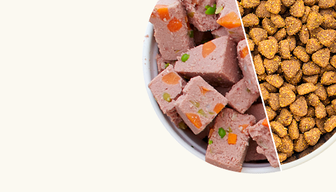 Pet Food Pet Food