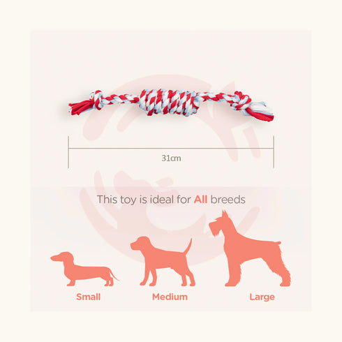 Trixie Playing Rope with Knots Toy for Dogs