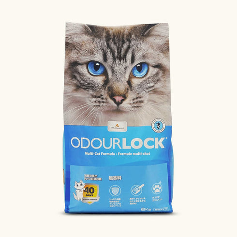 Intersand Odour Lock Litter for Cats