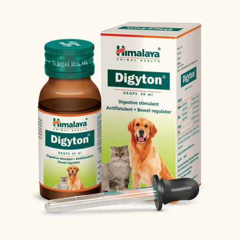 Himalaya Digestive Stimulant Digyton Drops For Cats And Dogs