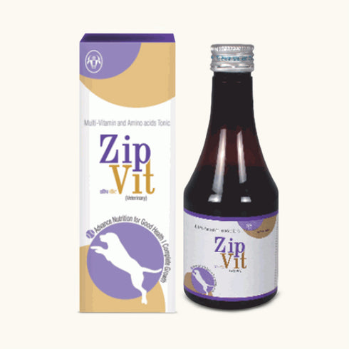 Intas Zip-Vit Multi-Vitamin and Amino Acids Tonic