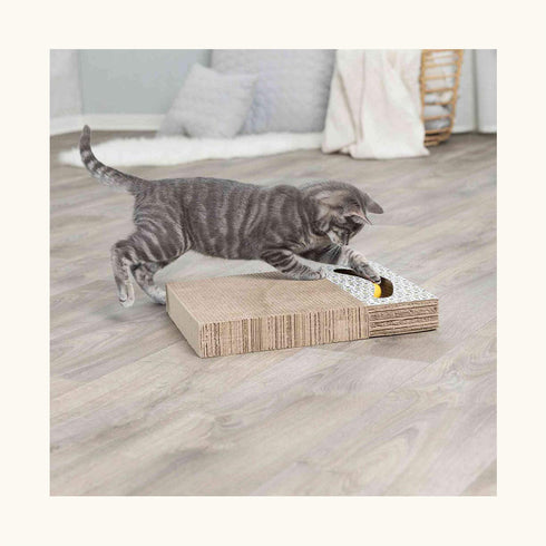 Trixie Germany Scratching Cardboard with Toys for Cats - White - 38 × 30 cm