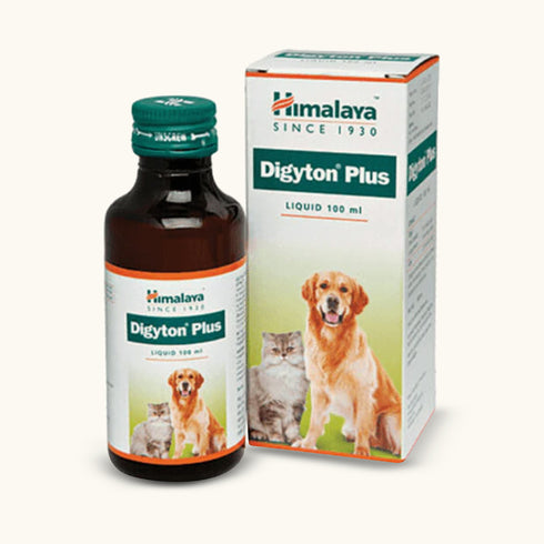 Himalaya Digestive Stimulant Digyton Plus Syrup For Pets