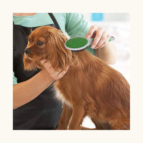 Wahl Double Sided Brush Large for Pets